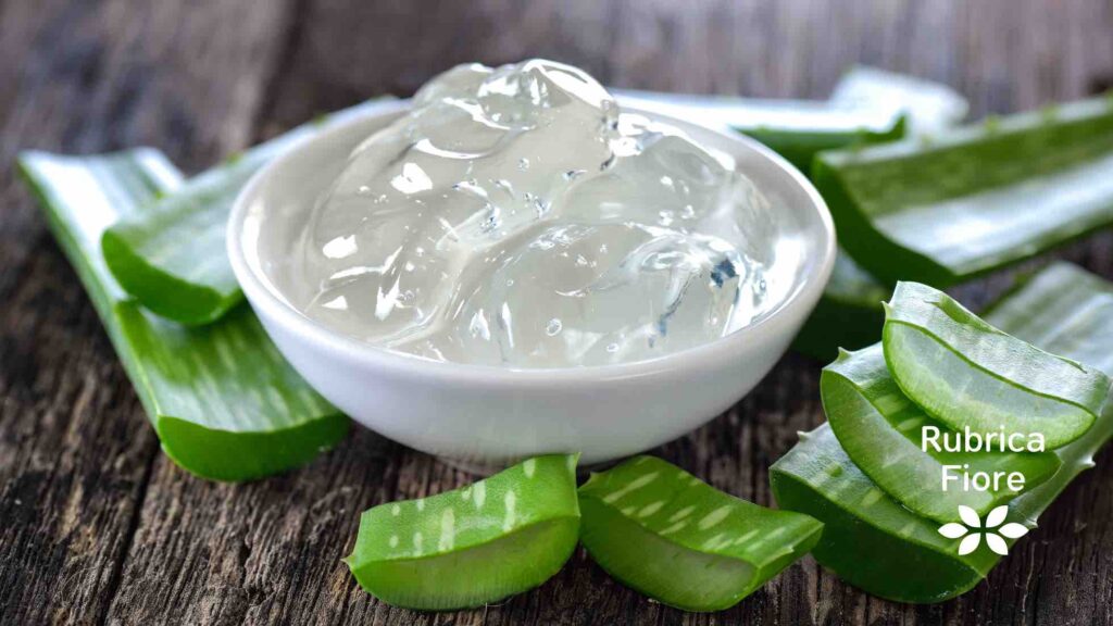 Aloe per il corpo