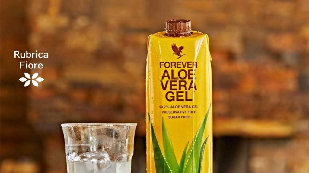 aloe vera gel love story